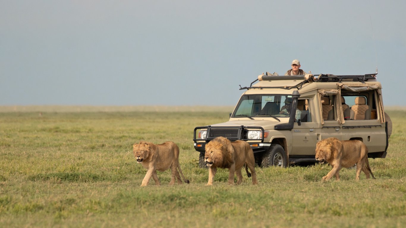 Tanzania Safari