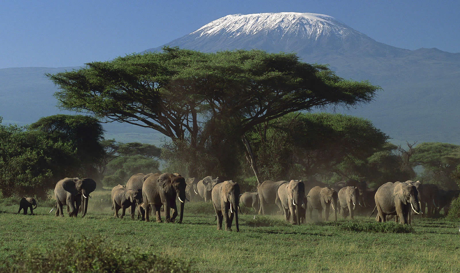 Mount Kilimanjaro