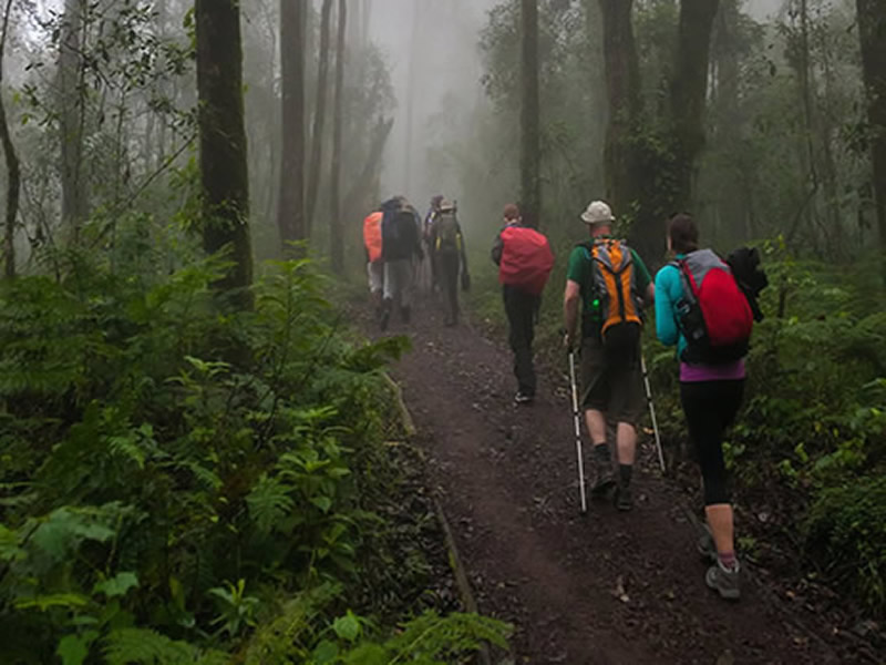 6 Days Machame Route