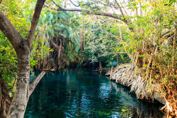 Chemka Hotspring